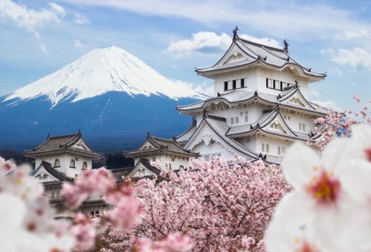 Traditional Japanese building behind cherry blossom trees